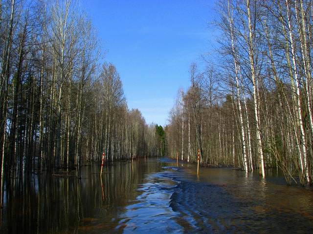 Эх, дороги...