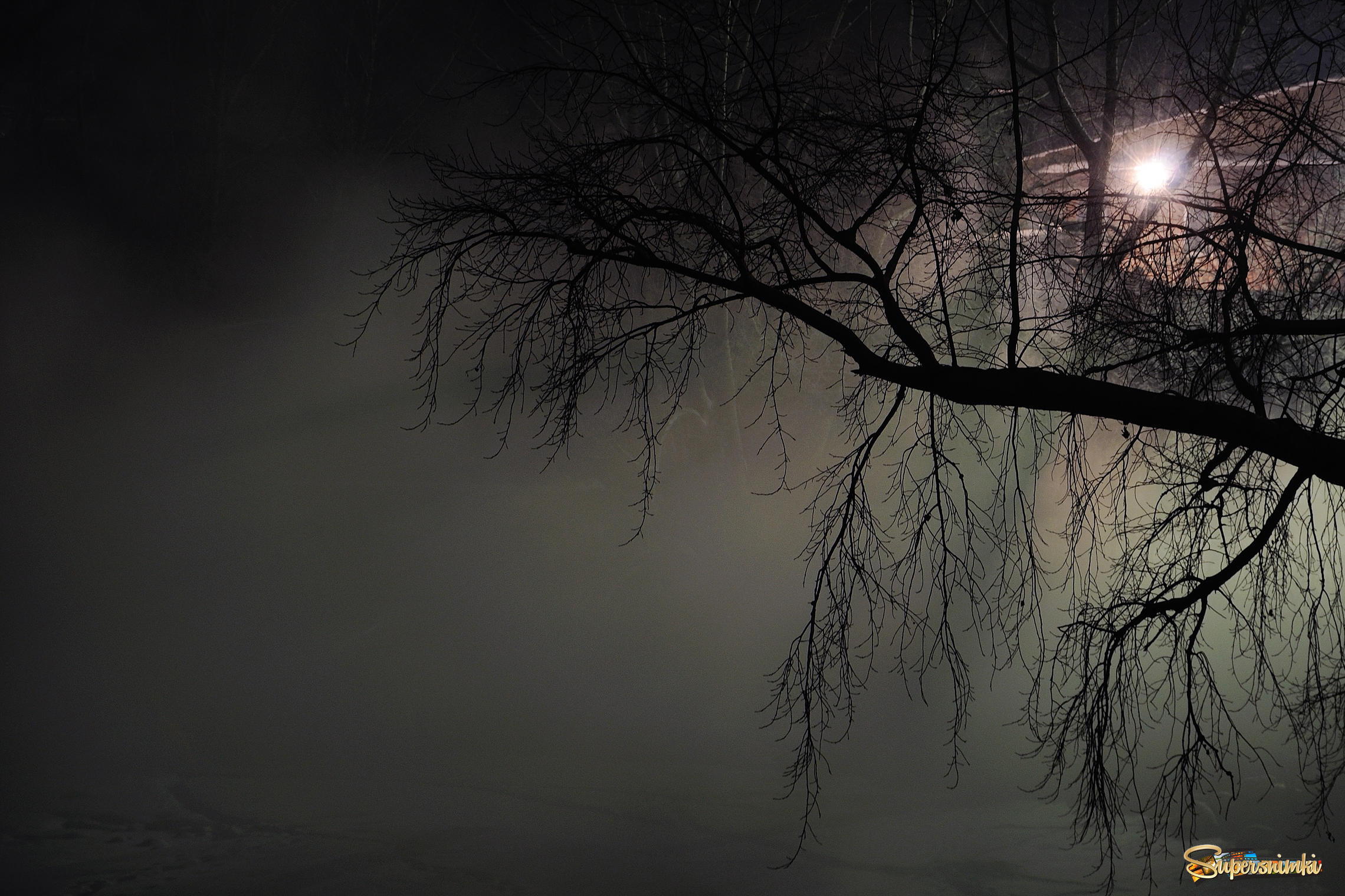 Ночь и туман