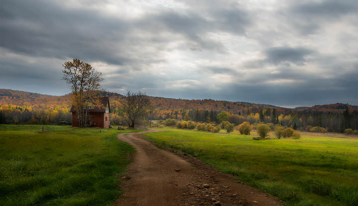 Provincial habitat (Transparent Autumn)