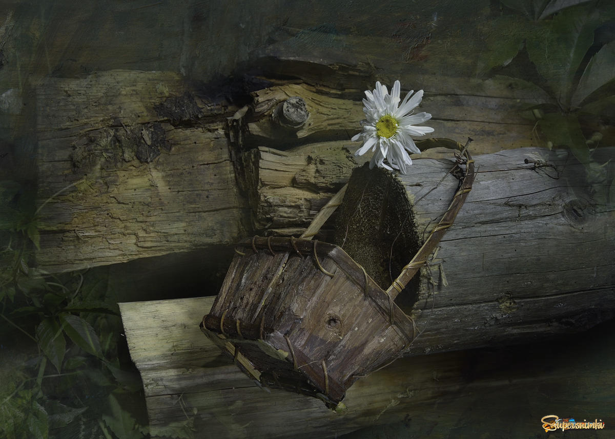 Цветок в старой корзинке.