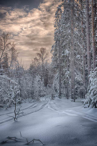 Вечереет