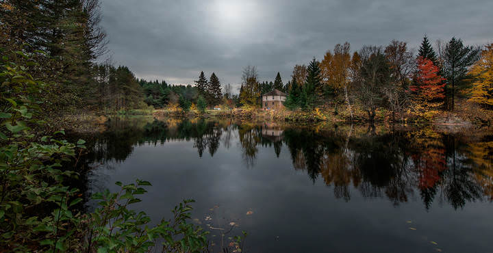 Provincial habitat (Transparent Autumn)