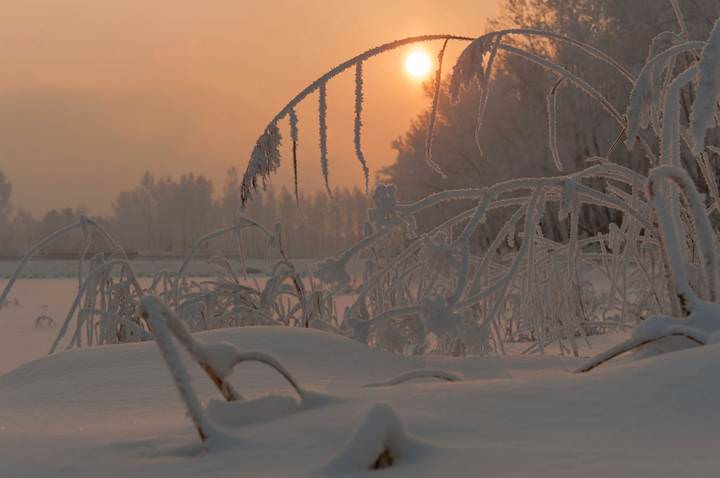 Вечером в парке