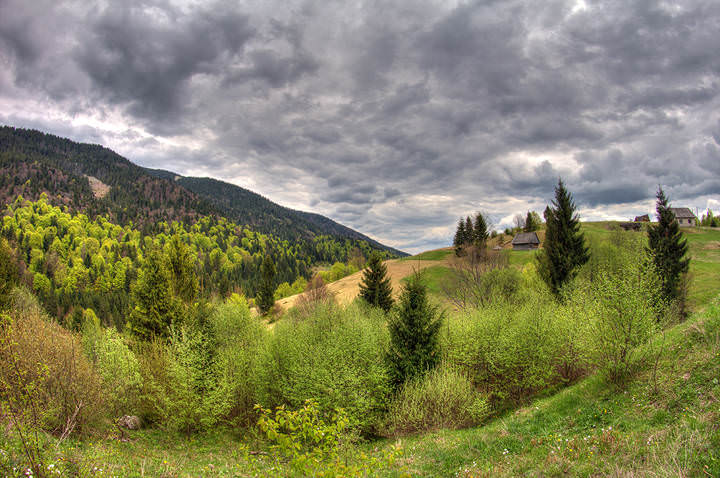 Карпаты