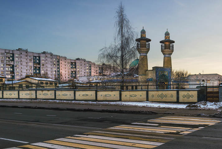 Зебра