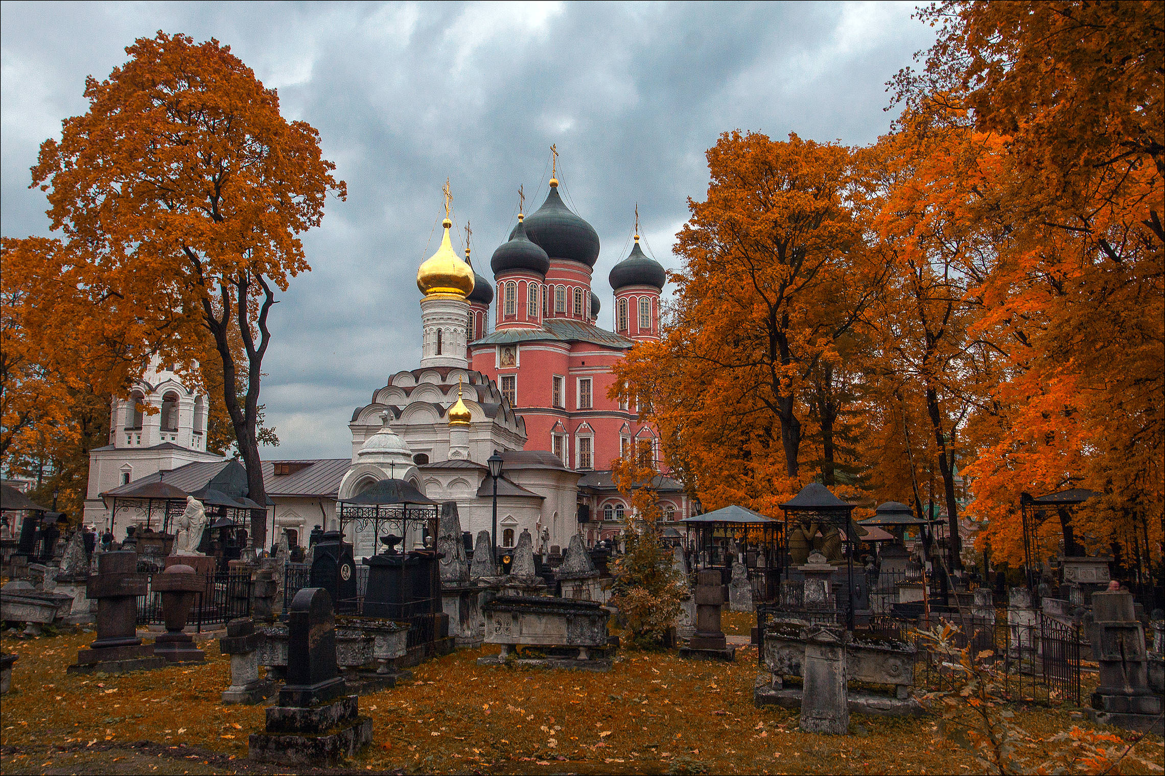 Донской монастырь. Осень.