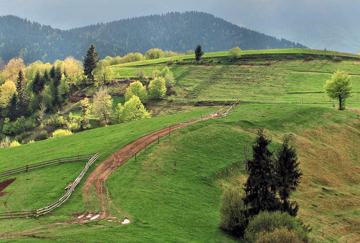 Карпаты