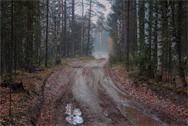Сквозь туман...