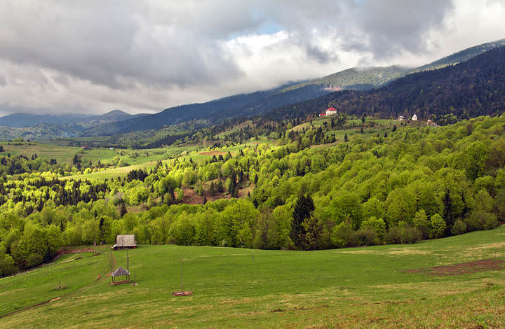 Камянка