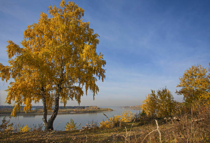 По следам ушедшей осени