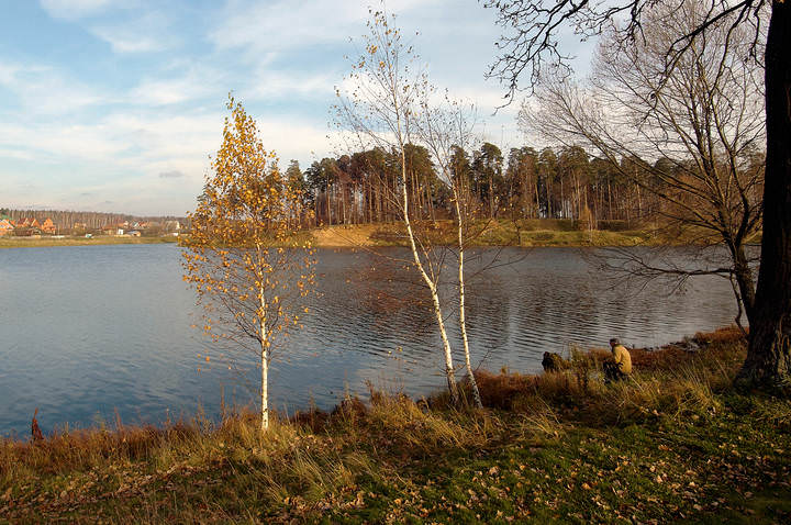 Осень белой вороны (2008)