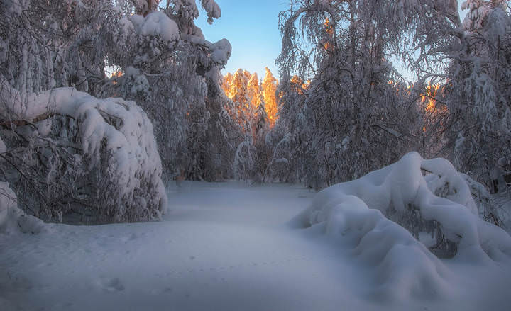 Снежное царств