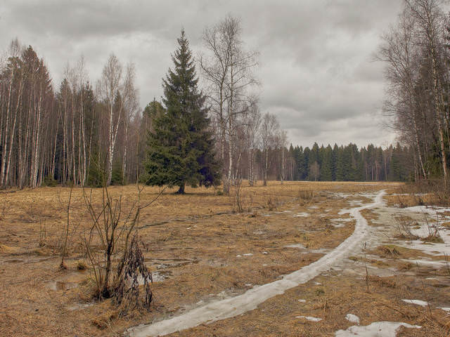  Последняя лыжня (2006)