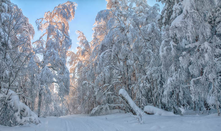 Белая стена