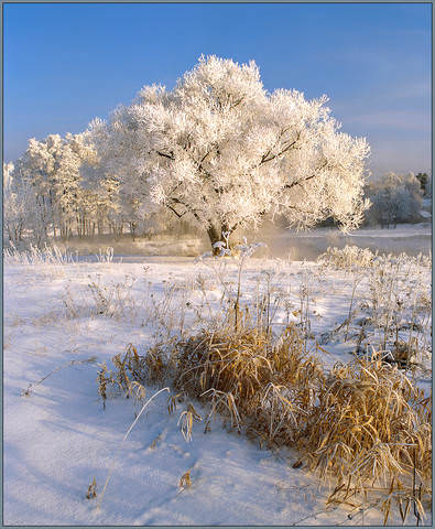 Утро в Краскове