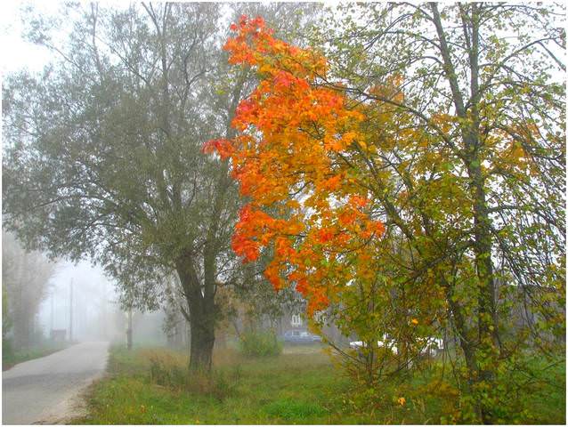 Теплая осень...