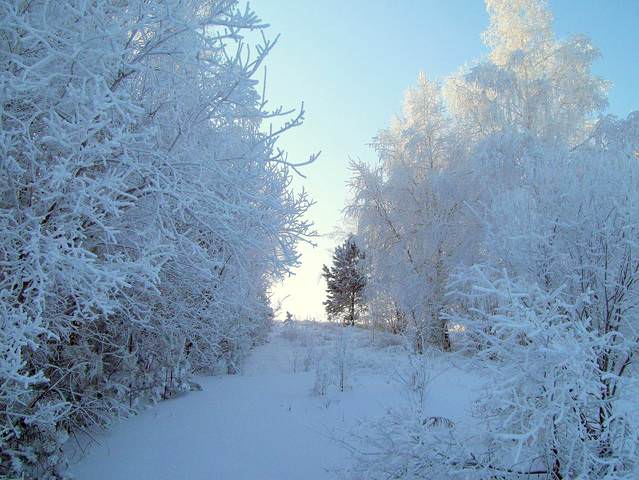 Зимняя сказка