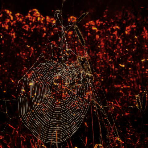 Мишень, или Три секунды до гибели Вселенной (2008)