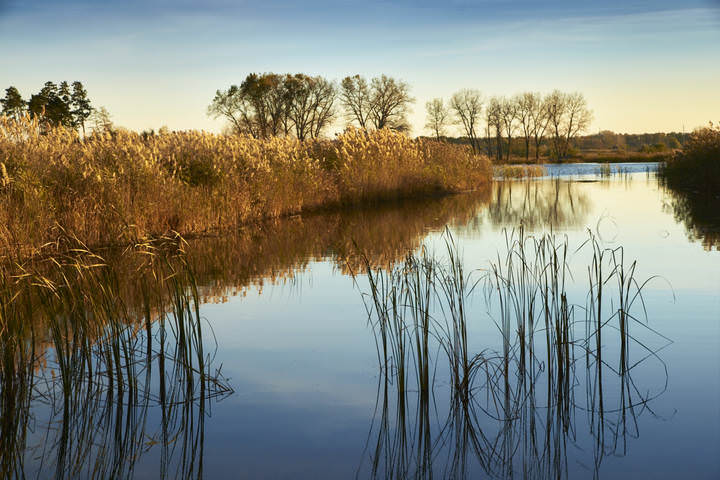 Водное зеркало