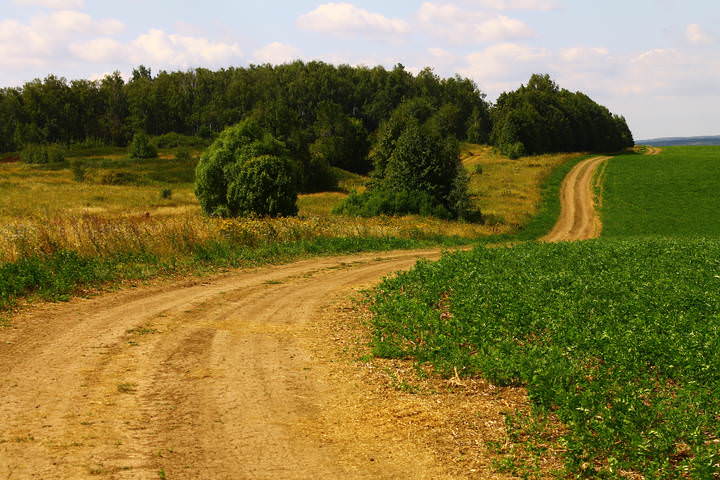 В окрестностях Зарайска