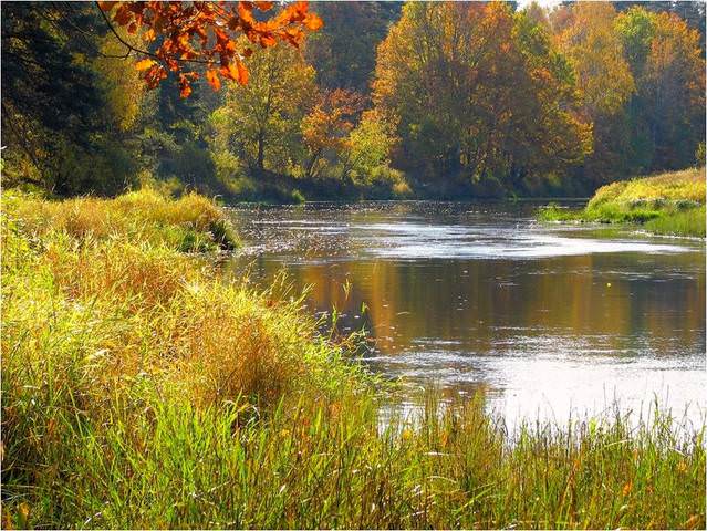 Осенние мотивы...