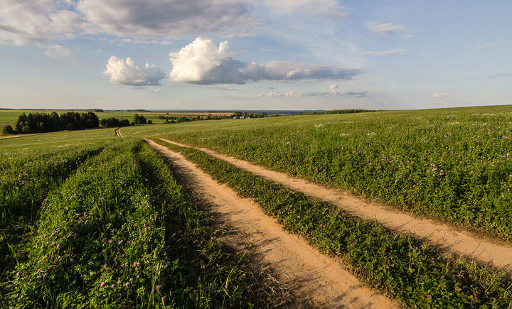 Полевая дорога