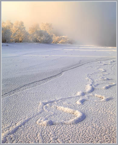 Розовый туман.