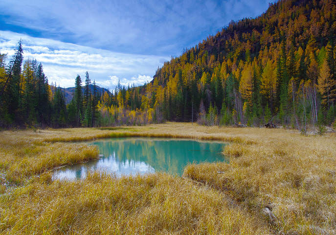 Алтайская осень