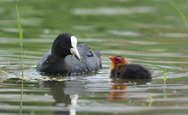 # 2