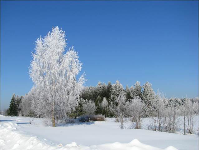 Зимний день...