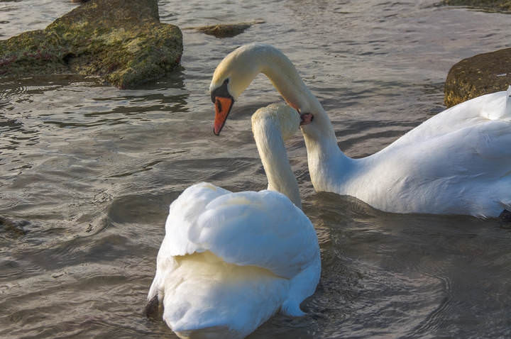 # 2