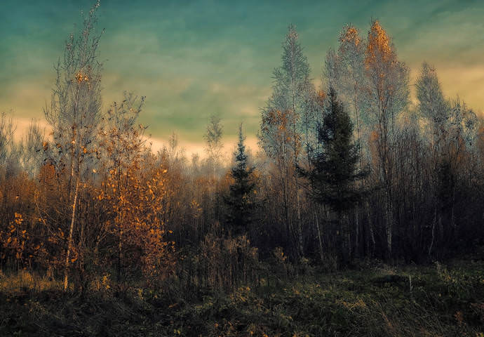 Краски осени