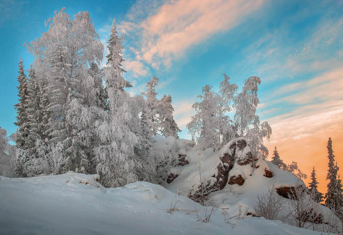 Зимняя зарисовка