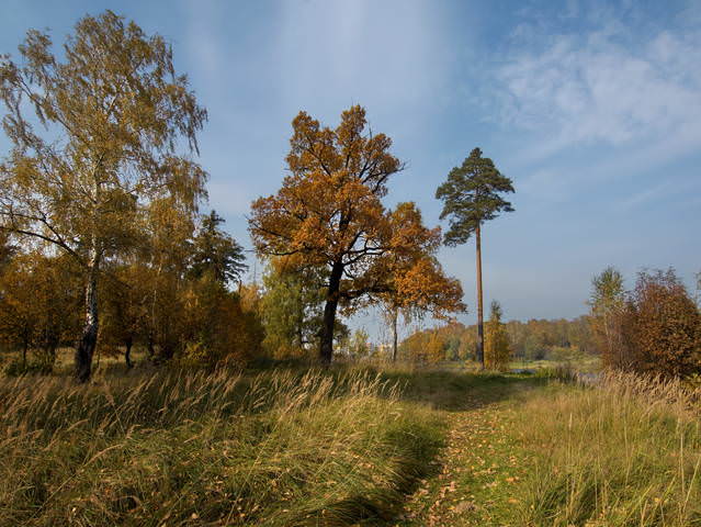 Тропинка октября (2008)