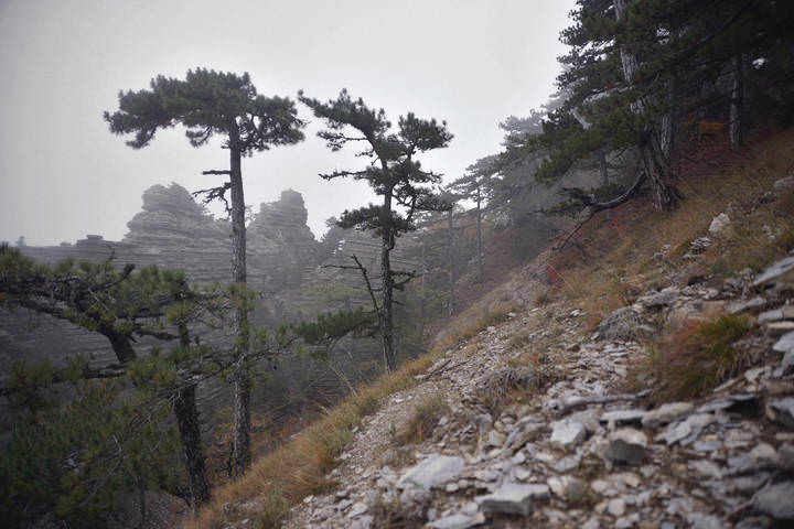 таракташ*