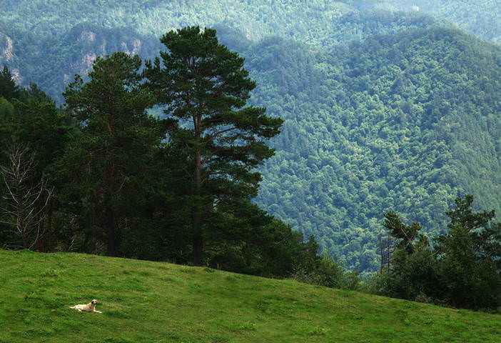 В горах