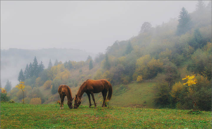 Я и мама