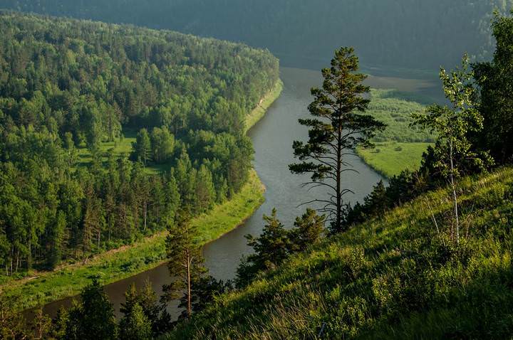 С утренним солнцем
