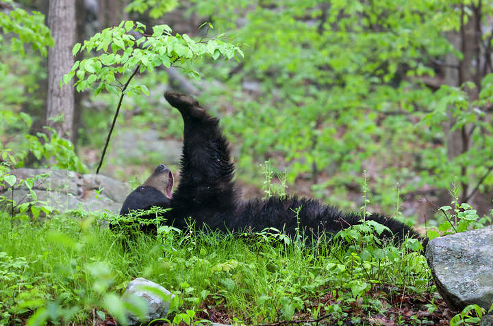 # 1