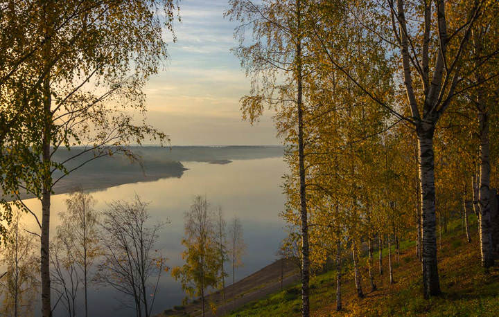 Осеннее утро
