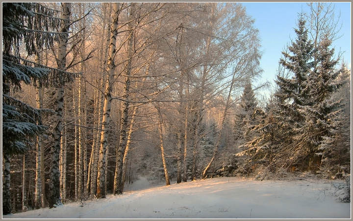 Зимний кордон
