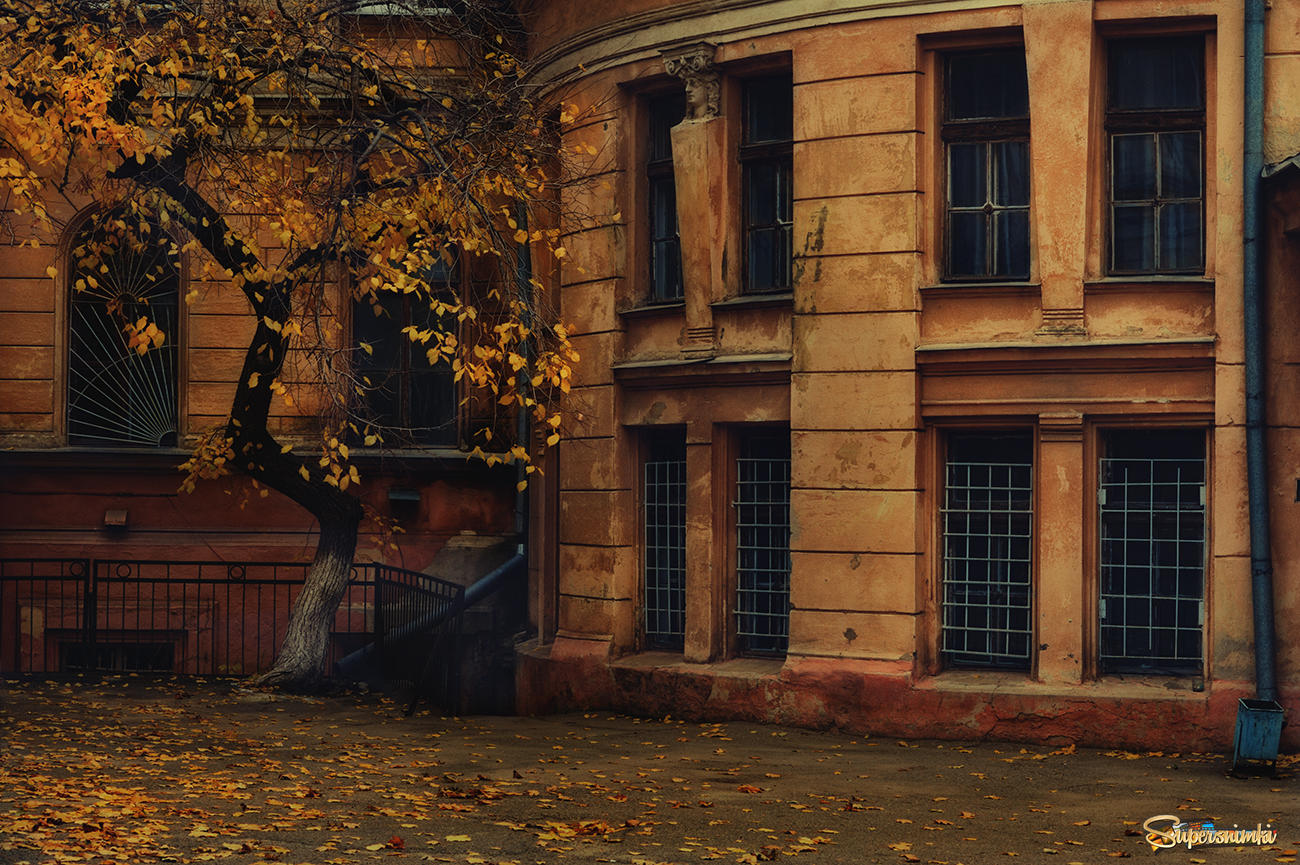 Осень в Одесском дворике