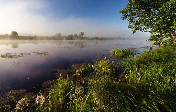 В ранний час