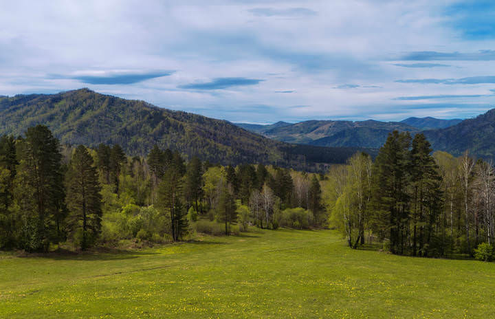 Алтайская весна