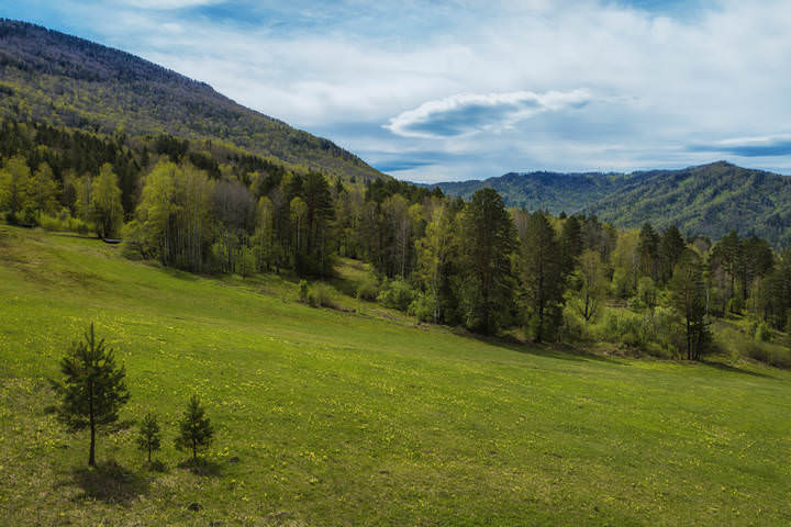 Алтайская весна