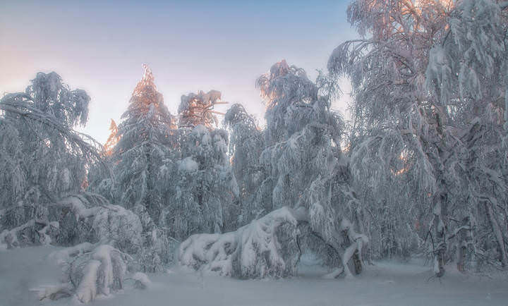 Белое безмолвие