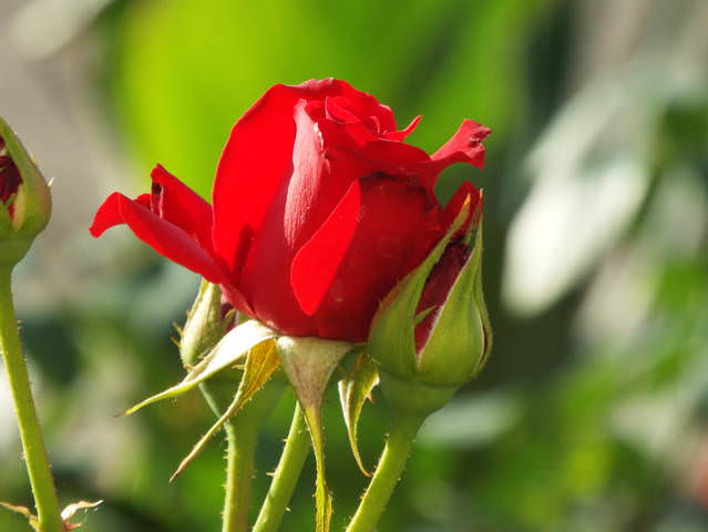 5871f197e2cfda0ce878e3eb