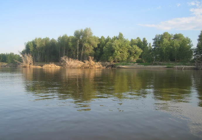 берег реки