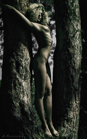 Body for photos