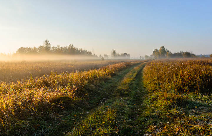 Осеннее утро